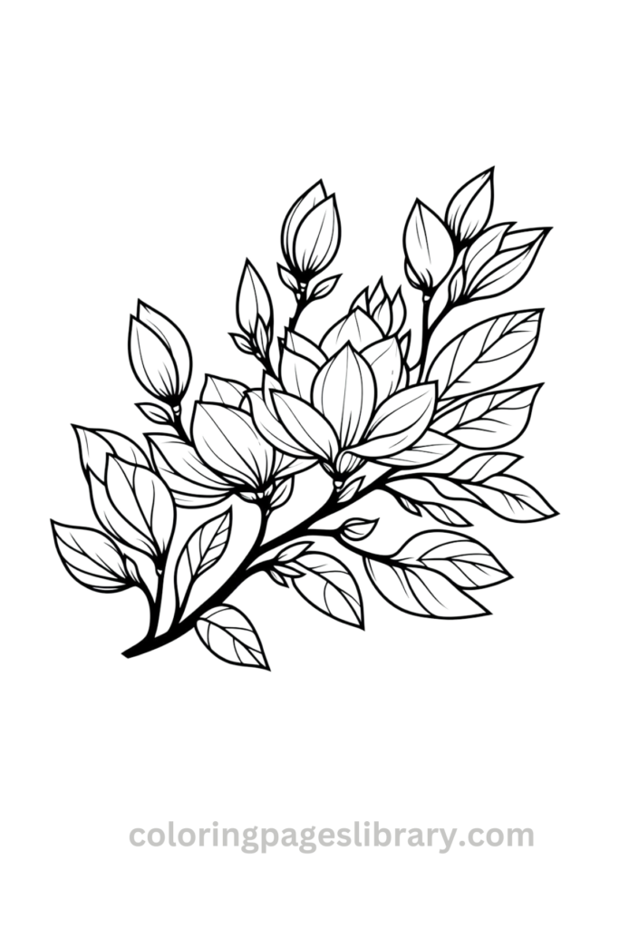 Printable Magnolia coloring page for children
