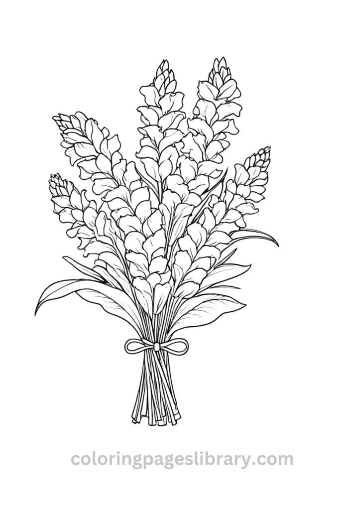 Printable Snapdragon bouquet coloring page