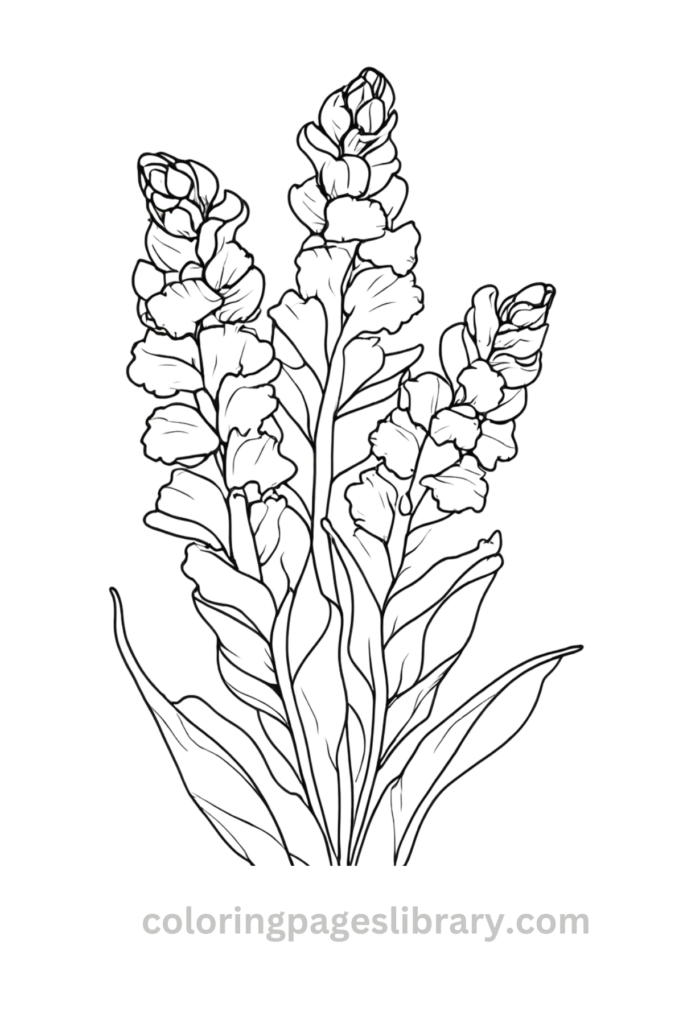 Printable Snapdragon coloring page for children