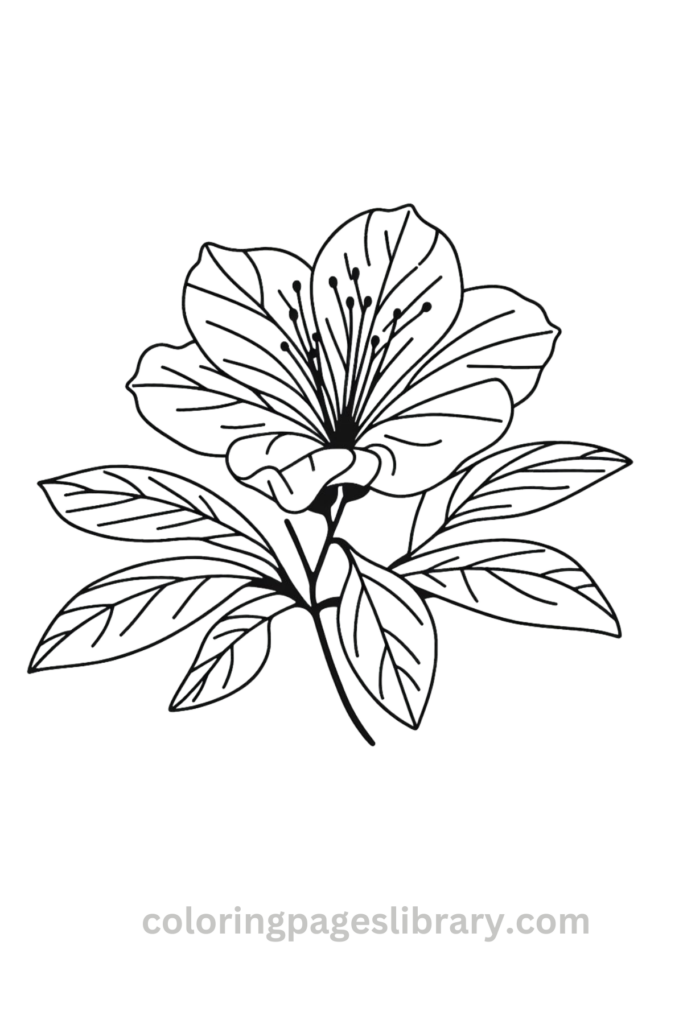 Simple Azalea coloring sheet