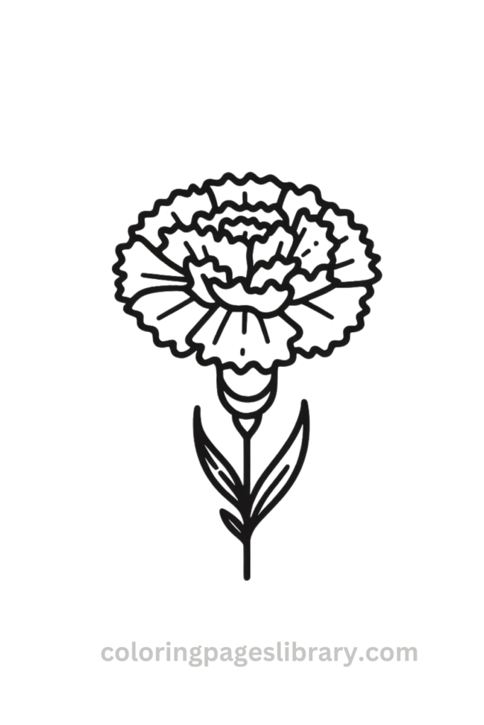 Simple Carnation coloring page