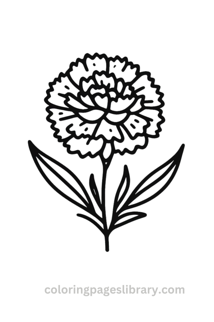 Simple Carnation coloring sheet