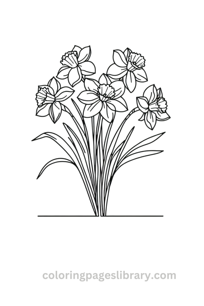 Simple Daffodil coloring sheet