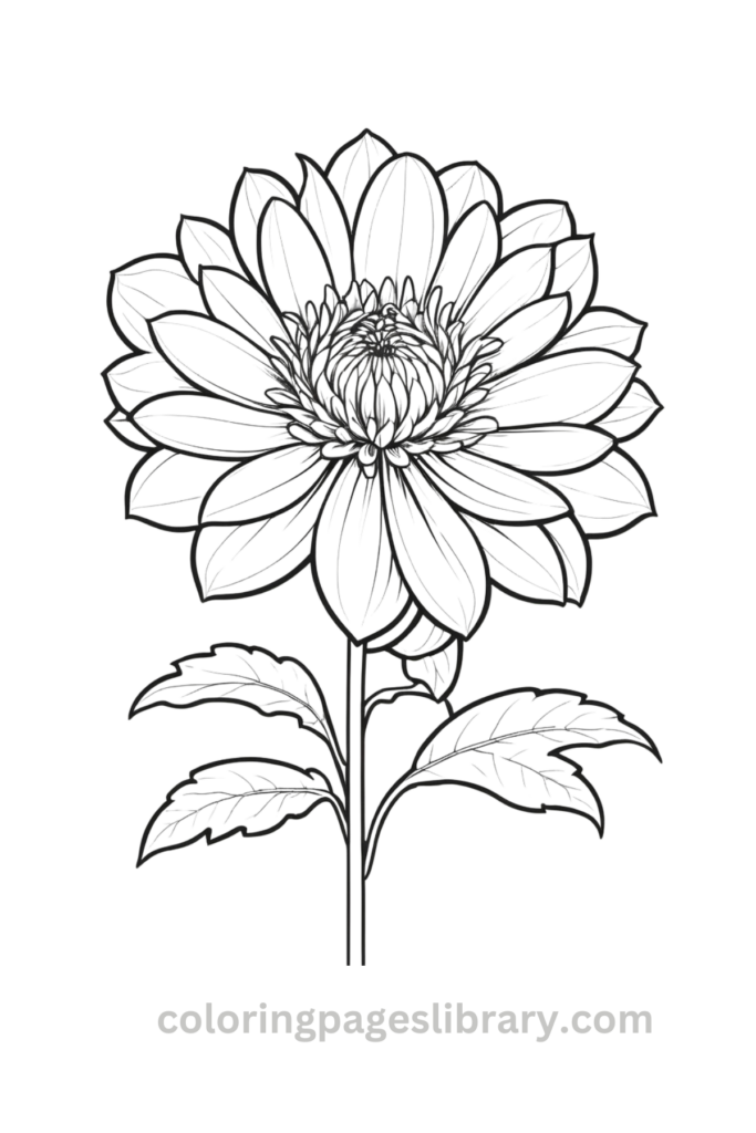 Simple Dahlia coloring sheet