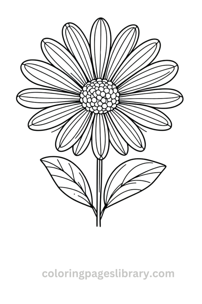 Simple Daisy coloring page