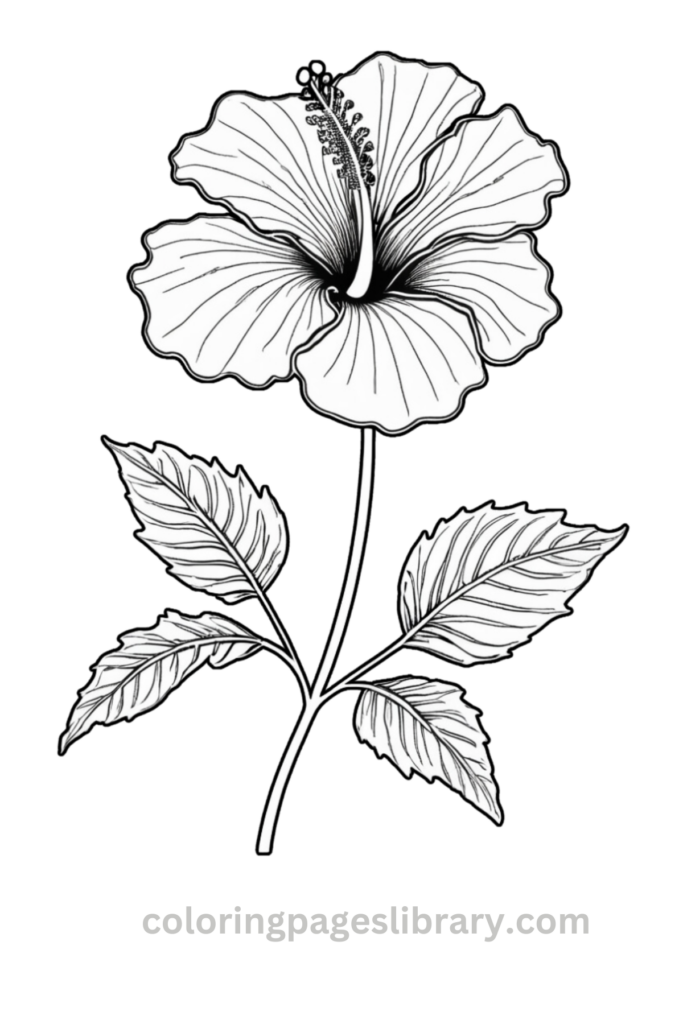 Simple Hibiscus coloring sheet