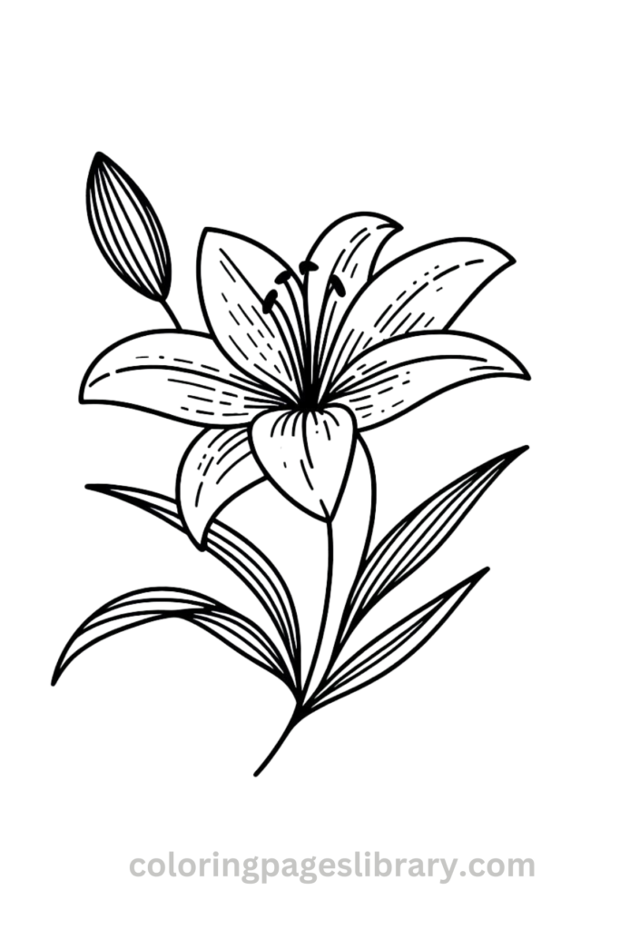 Free Printable Lily Coloring Pages For Kids