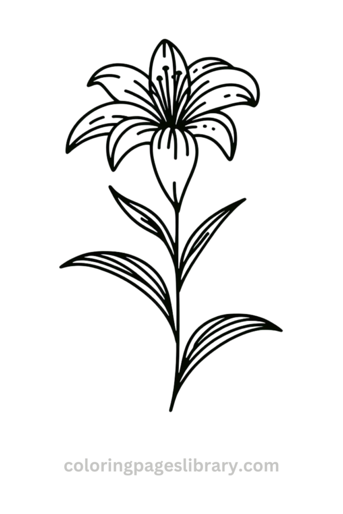 Simple Lily coloring sheet