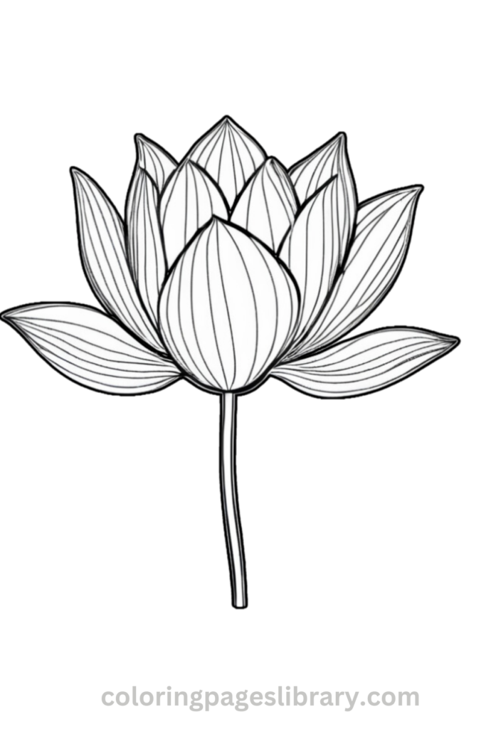 Simple Lotus flower coloring page