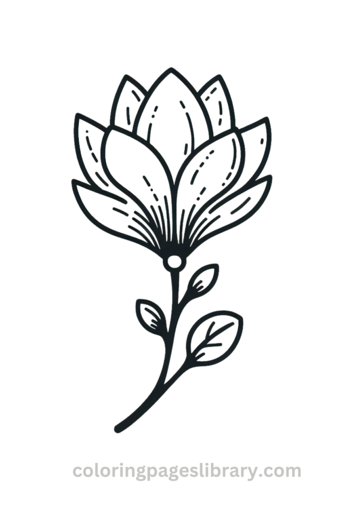Simple Magnolia coloring page