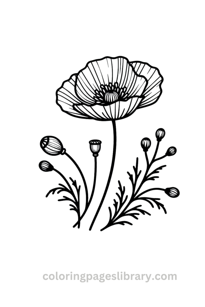Simple Poppy coloring page