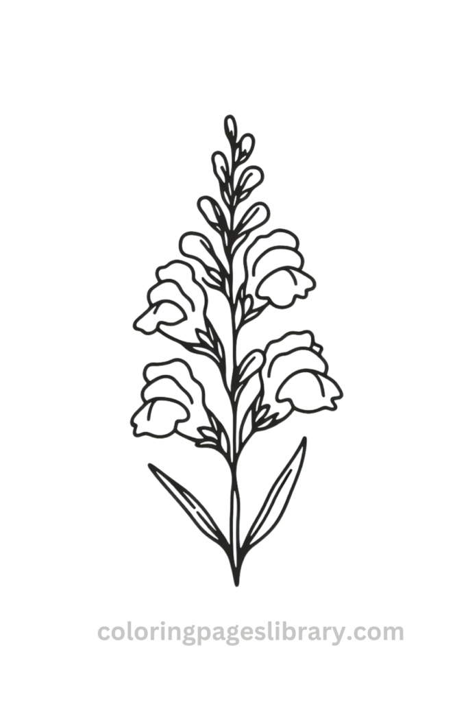 Simple Snapdragon coloring page